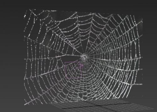 آموزش ساخت تارعنکبوت در تری دی مکس